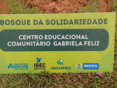 Brasil de amanhã